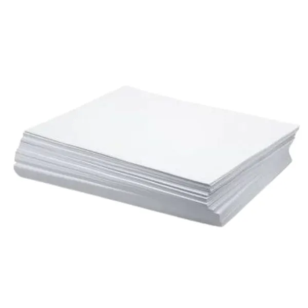 [2530] Papel Ilustracion 300 gramos  A3+ 32.5 x 47.5 cm