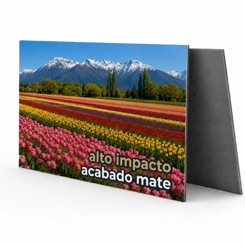 Alto Impacto Acabado Mate Impreso UV 1.5 mm 120 x 242 cm